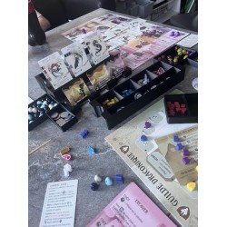 Insert de rangement pour Wyrmspan