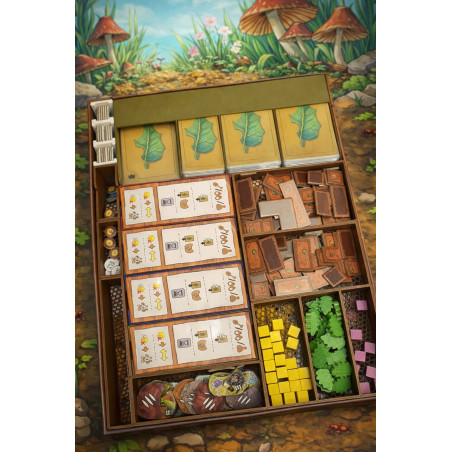 Insert per il Gioco Formiche - Organizza la Tua Esperienza di Gioco