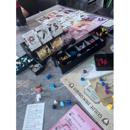 Pack Wyrmspan : Insert + Jetons + pièces