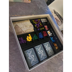 Pack Wyrmspan : Insert + Jetons + pièces